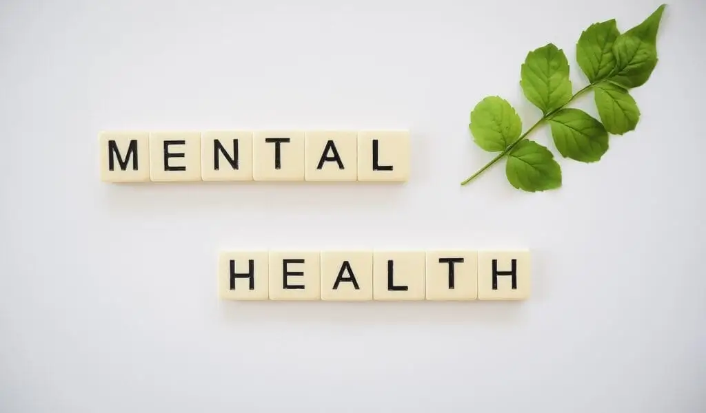 our services-mental health